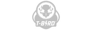 TBIRD