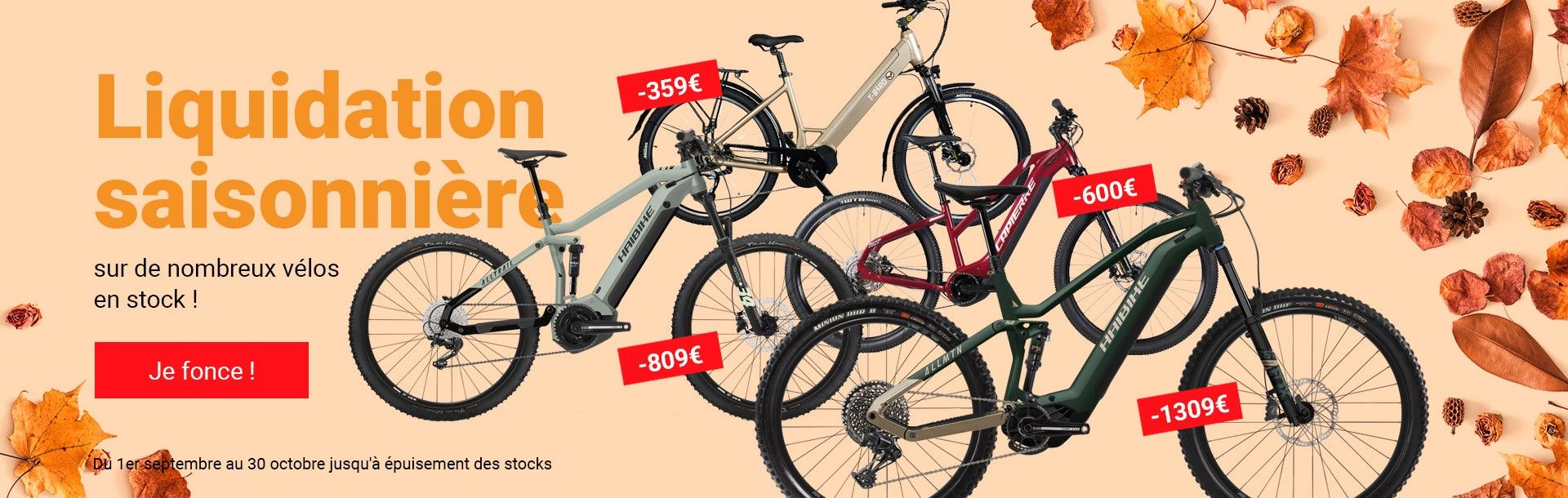 promo automne