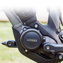 Yamaha moteur PW-X 2017