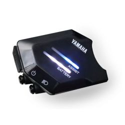 Yamaha display X