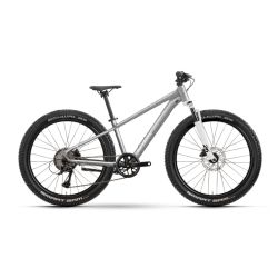 Raymon Nayta 26 pro