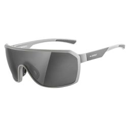 Gist lunettes Range monture gris mat 100% UV - UVA - UVB - (VERRE CAT 3)
