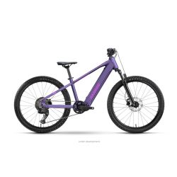 Raymon Zorq Pure 24"