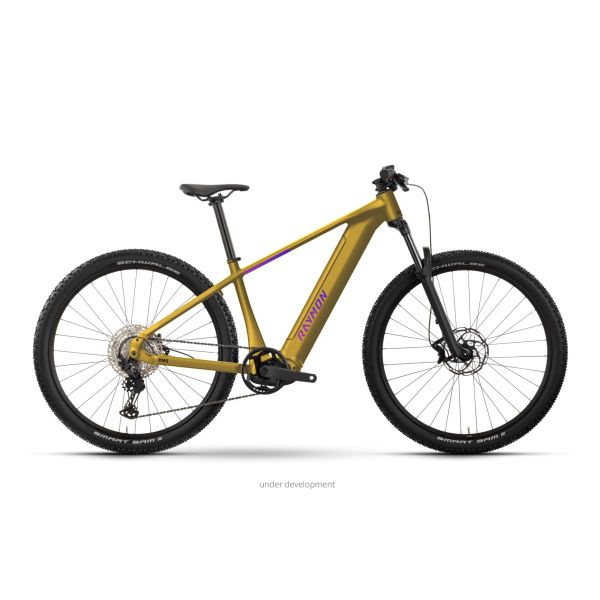 Raymon Zorq Pure 29 orange