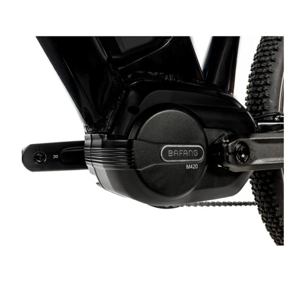Leader Fox Weeny 24" noir