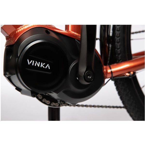 T-Bird Golden Gate 540Wh Cadre bas noir