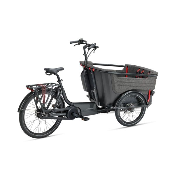 BATAVUS Fier 3 500Wh