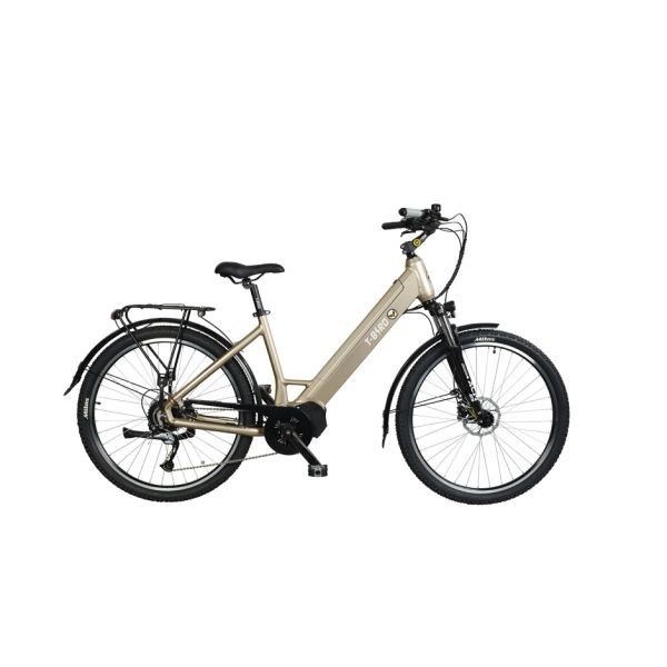 T-Bird Golden Gate 500Wh Cadre bas (Reconditionné grade A)