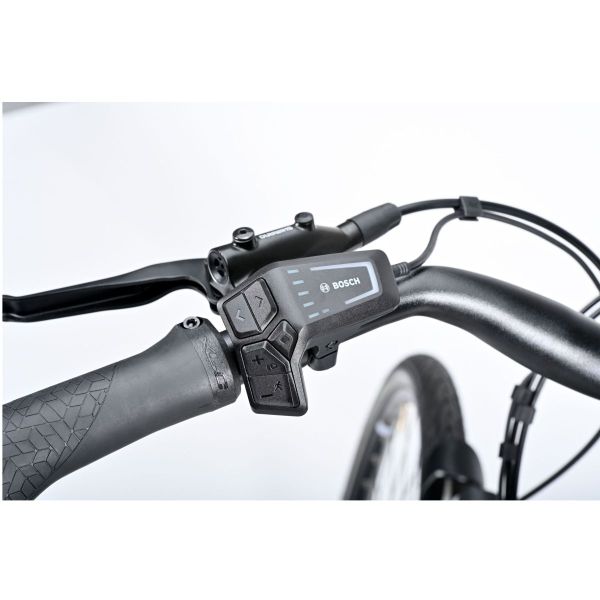 Winora Tria 10 vert